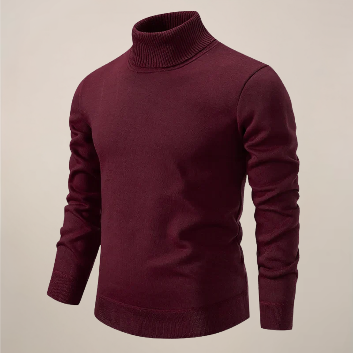 Herren Rollkragenpullover Modern Frühjahr