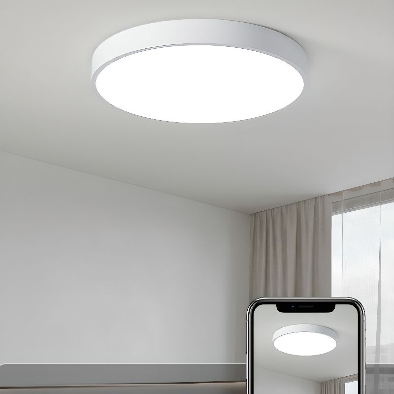 Runde LED Deckenleuchte Skandinavisch Modern