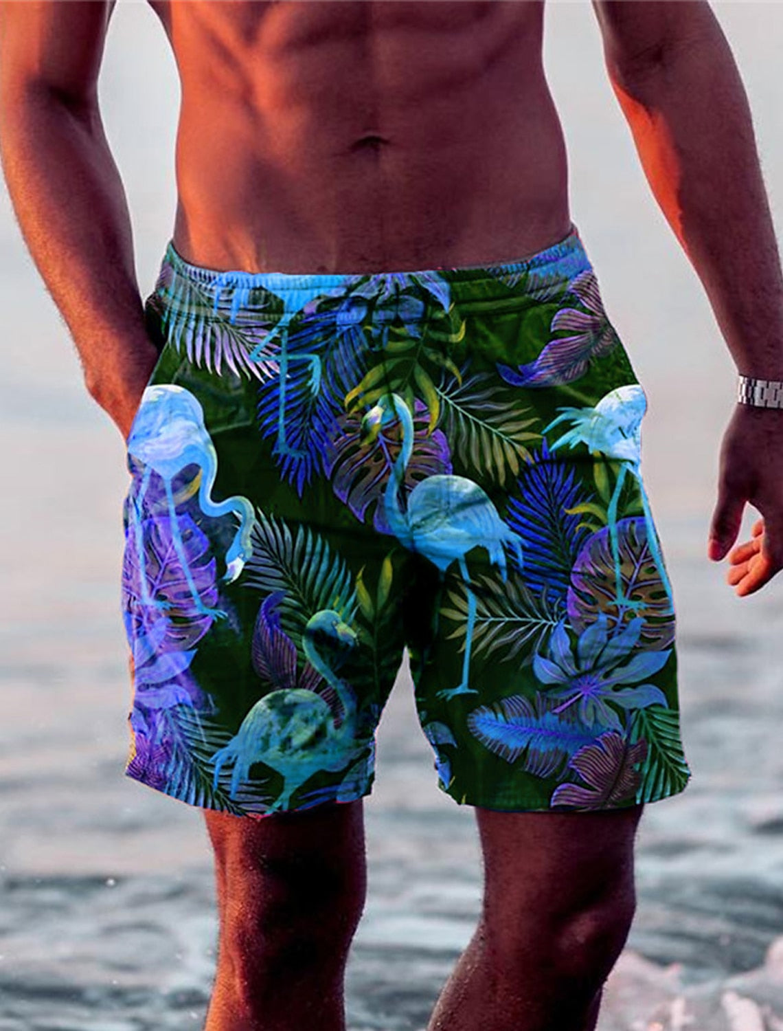 Herren Badehose Flamingo Design Bunt - Norvielle