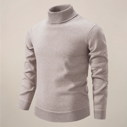 Herren Rollkragenpullover Modern Frühjahr