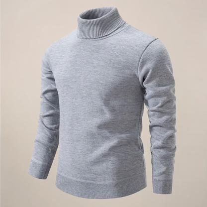Herren Rollkragenpullover Modern Frühjahr
