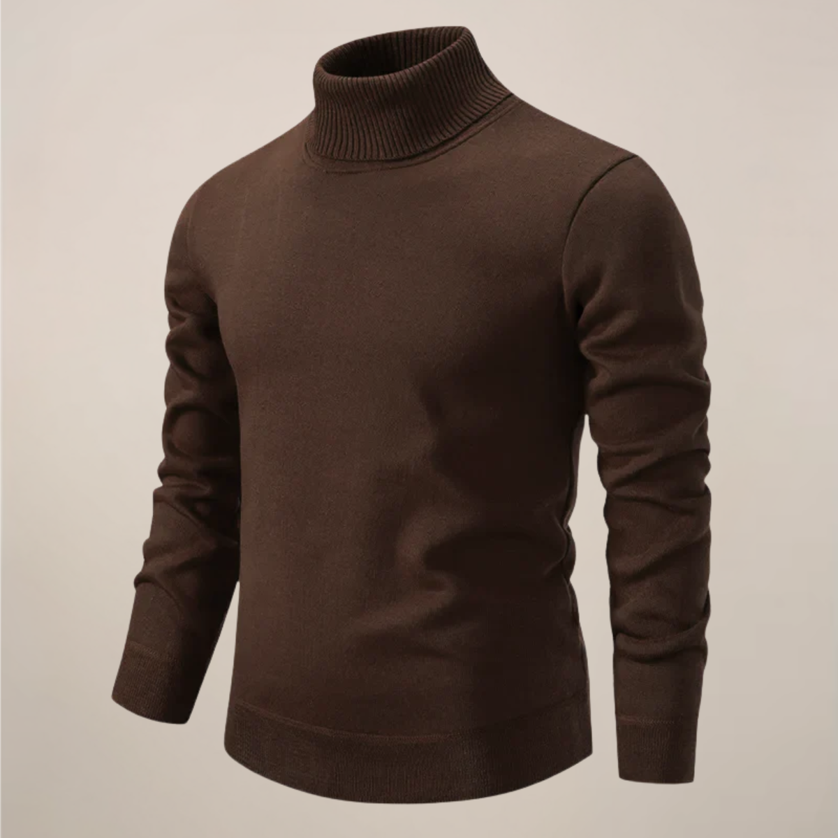 Herren Rollkragenpullover Modern Frühjahr