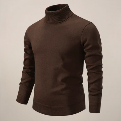 Herren Rollkragenpullover Modern Frühjahr