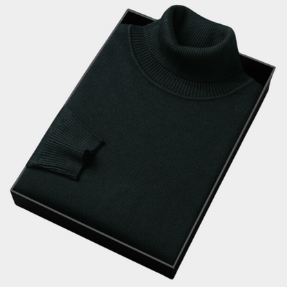 Herren Rollkragenpullover Leicht Modern Frühjahr