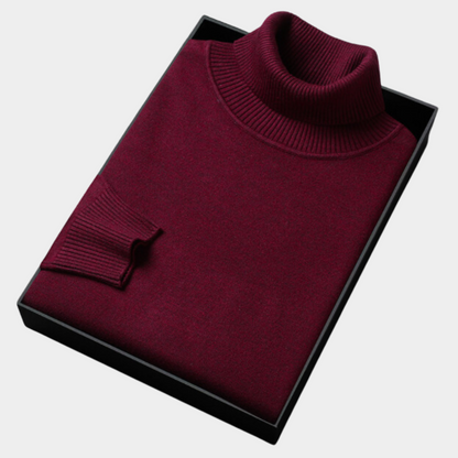 Herren Rollkragenpullover Leicht Modern Frühjahr