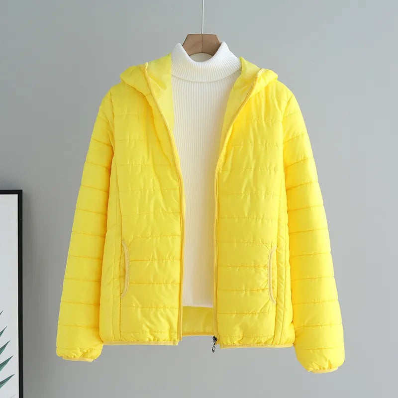 Damen Steppjacke Mit Kapuze Modern Schwarz - Norvielle