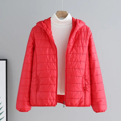 Damen Steppjacke Mit Kapuze Modern