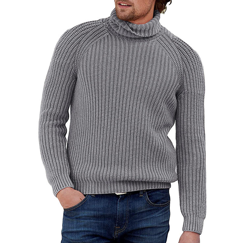 Herren Pullover Strukturiert Grobstrick Hochkragen Modern