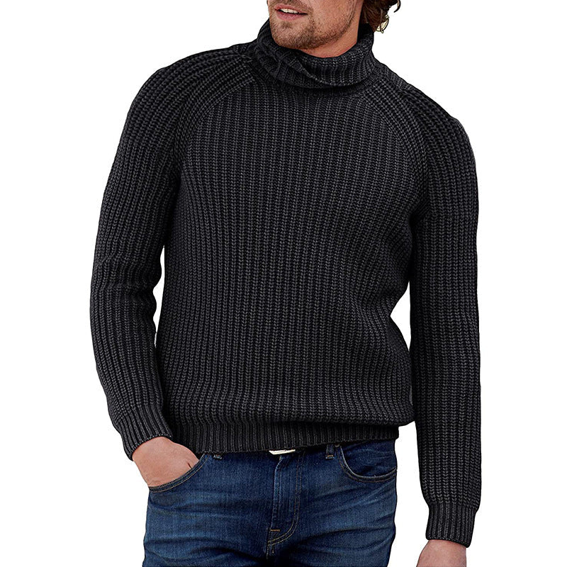 Herren Pullover Strukturiert Grobstrick Hochkragen Modern