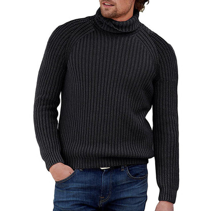 Herren Pullover Strukturiert Grobstrick Hochkragen Modern