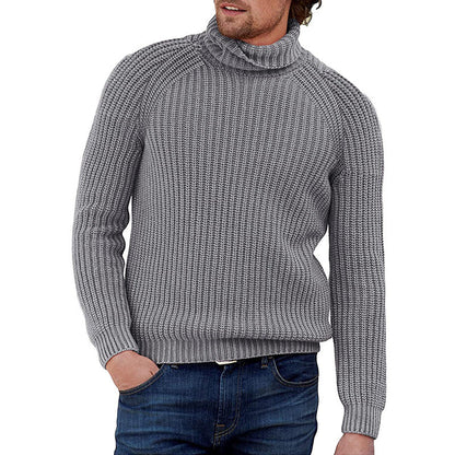 Herren Pullover Strukturiert Grobstrick Hochkragen Modern