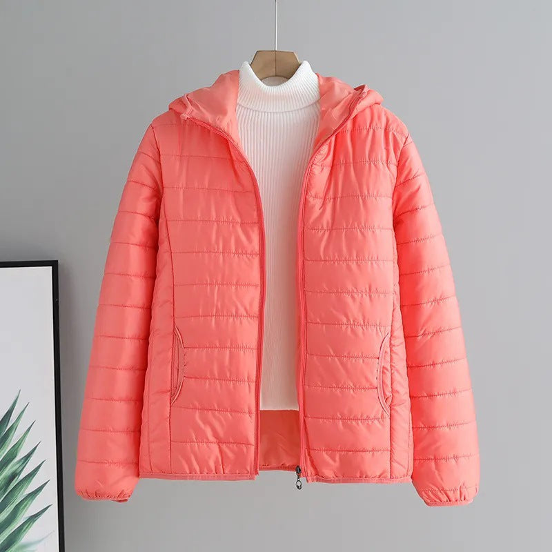 Damen Steppjacke Mit Kapuze Modern