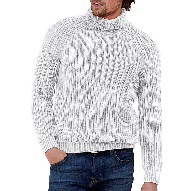 Herren Pullover Strukturiert Grobstrick Hochkragen Modern