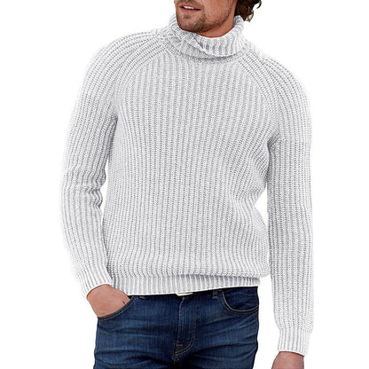 Herren Pullover Strukturiert Grobstrick Hochkragen Modern
