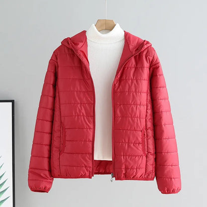 Damen Steppjacke Mit Kapuze Modern