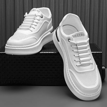 Damen Sneaker Perforiert Komfortabel