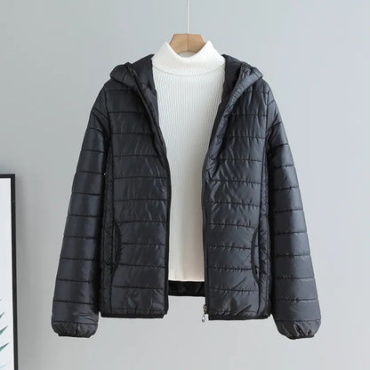 Damen Steppjacke Mit Kapuze Modern