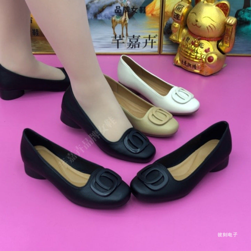 Damen Ballerinas Komfort Schleifen Detail Schwarz - Norvielle