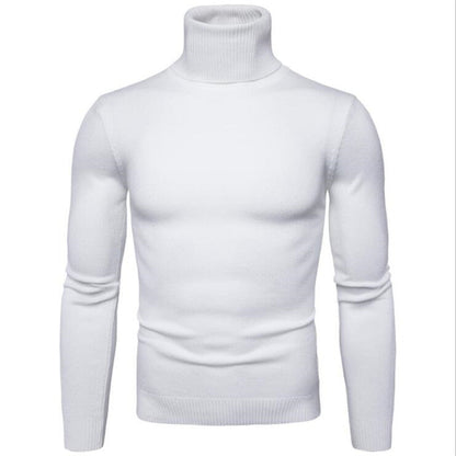 Herren Rollkragenpullover Merinowolle Elegantes Design