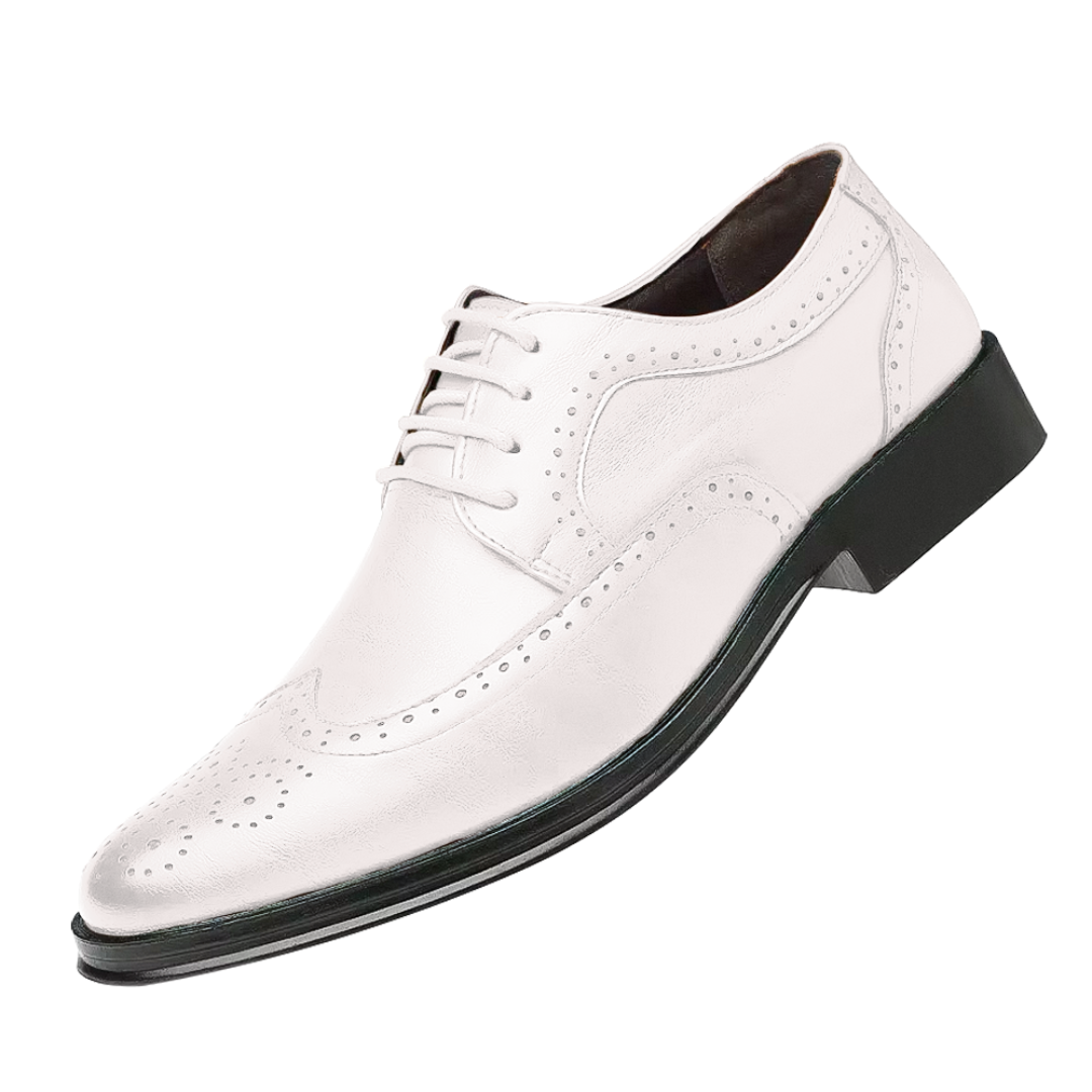 Herren Business Schuhe Elegantes Leder