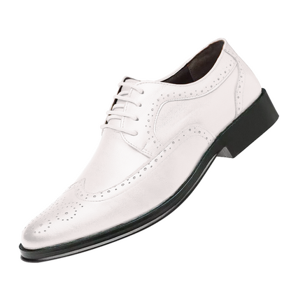 Herren Business Schuhe Elegantes Leder