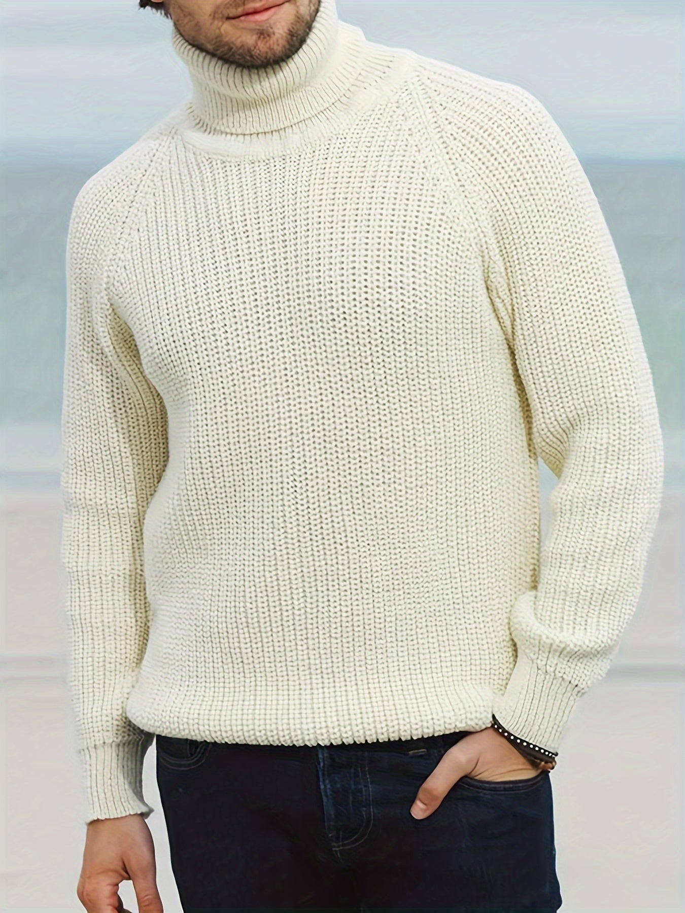 Herren Strickpullover Warm Rollkragen Winter
