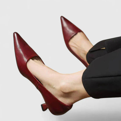 Damen Pumps Klassisch Spitz Niedriger Absatz - Norvielle
