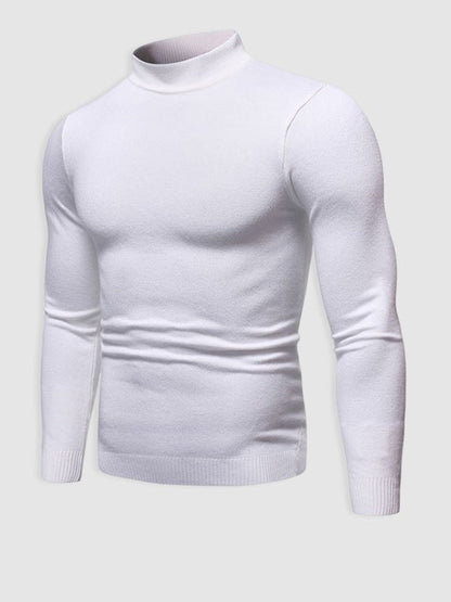 Herren Rollkragenpullover Slim Fit Modern