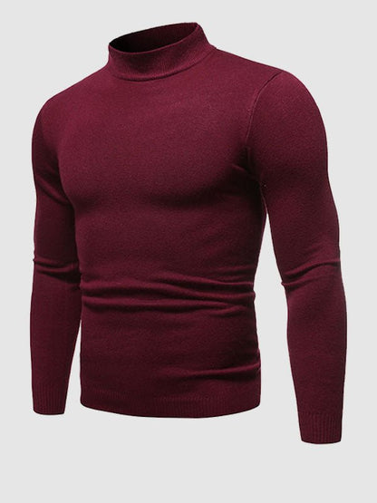 Herren Rollkragenpullover Slim Fit Modern